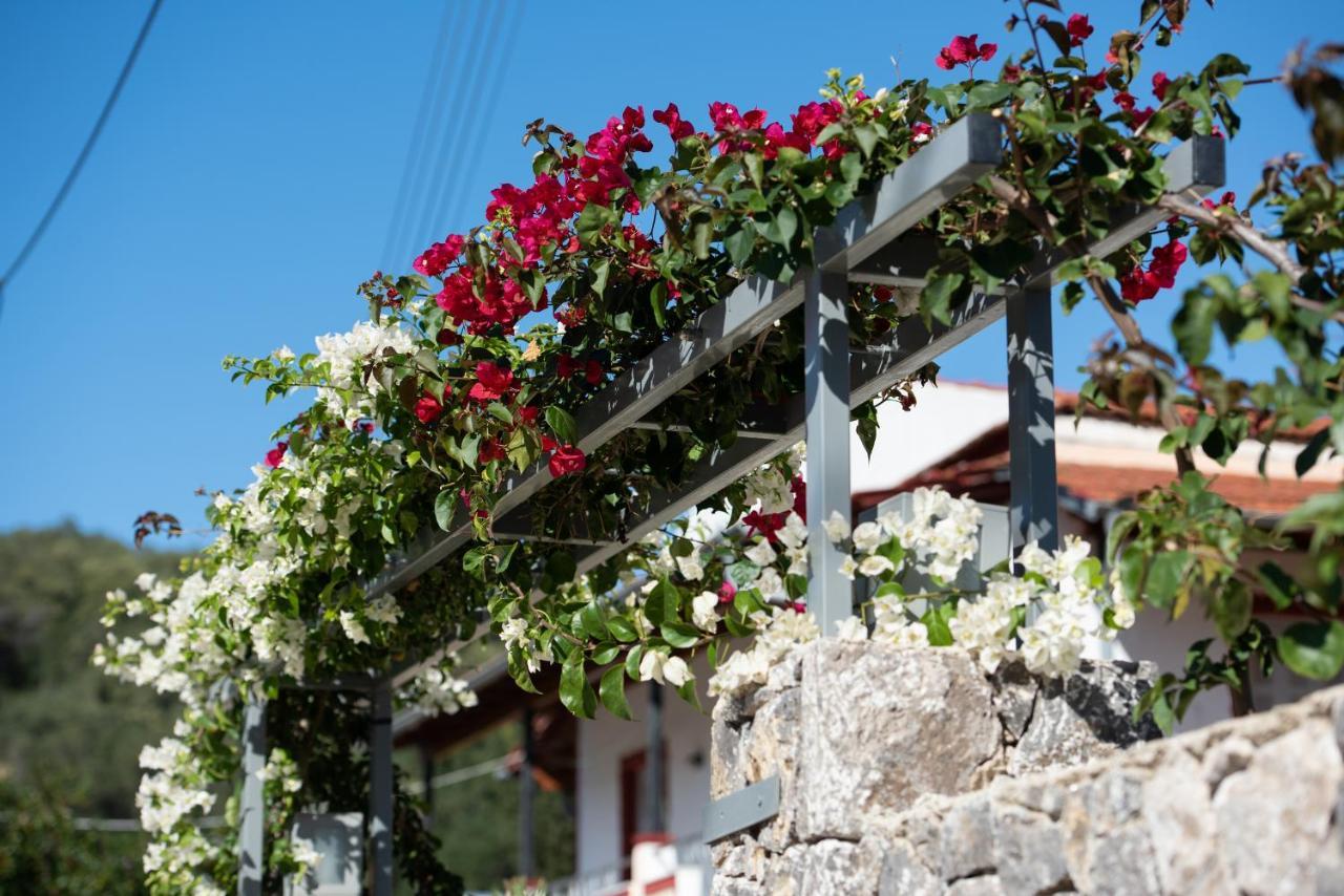 Casa Dell Amore Petriti  Luaran gambar